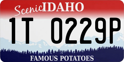 ID license plate 1T0229P