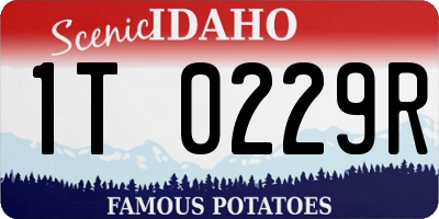 ID license plate 1T0229R