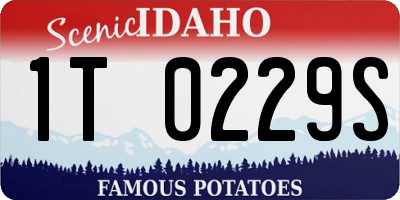 ID license plate 1T0229S