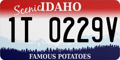 ID license plate 1T0229V