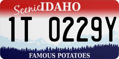 ID license plate 1T0229Y