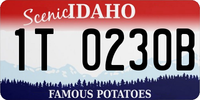 ID license plate 1T0230B