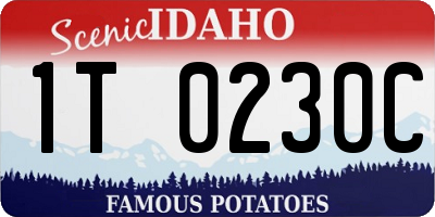 ID license plate 1T0230C