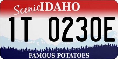 ID license plate 1T0230E