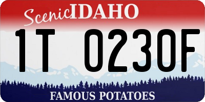 ID license plate 1T0230F