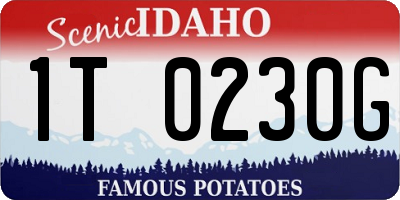 ID license plate 1T0230G