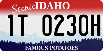 ID license plate 1T0230H