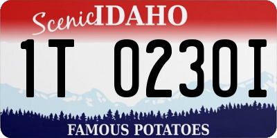 ID license plate 1T0230I