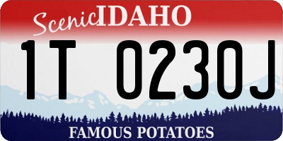 ID license plate 1T0230J