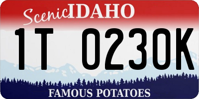ID license plate 1T0230K