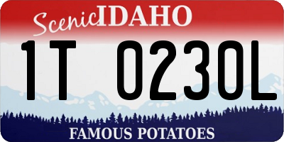 ID license plate 1T0230L
