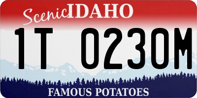 ID license plate 1T0230M