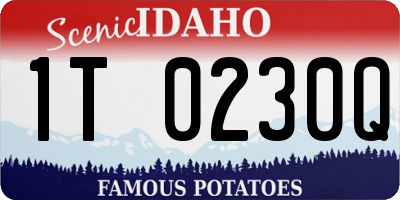 ID license plate 1T0230Q