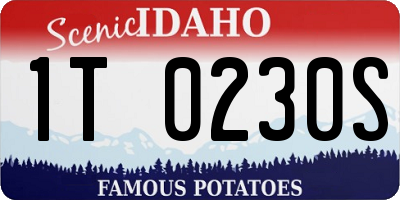 ID license plate 1T0230S