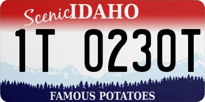 ID license plate 1T0230T
