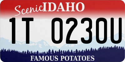 ID license plate 1T0230U