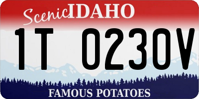 ID license plate 1T0230V