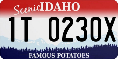 ID license plate 1T0230X