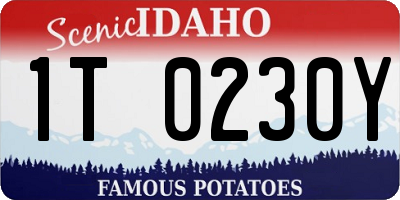 ID license plate 1T0230Y