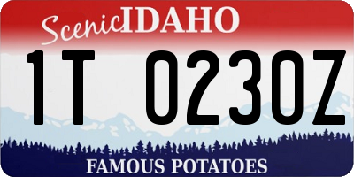 ID license plate 1T0230Z