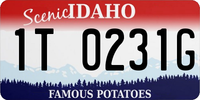ID license plate 1T0231G