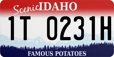 ID license plate 1T0231H