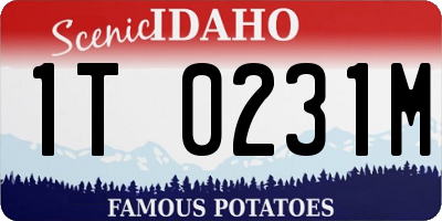 ID license plate 1T0231M