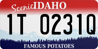 ID license plate 1T0231Q