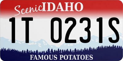 ID license plate 1T0231S