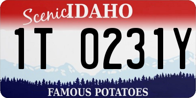 ID license plate 1T0231Y