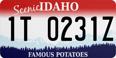 ID license plate 1T0231Z