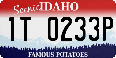 ID license plate 1T0233P