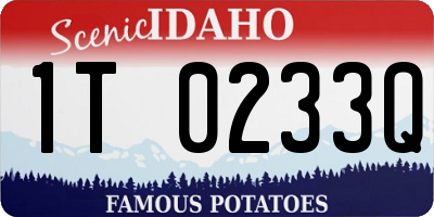 ID license plate 1T0233Q