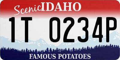 ID license plate 1T0234P