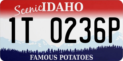 ID license plate 1T0236P