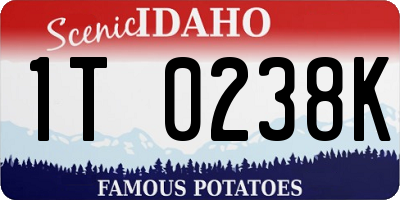 ID license plate 1T0238K