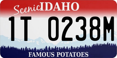 ID license plate 1T0238M