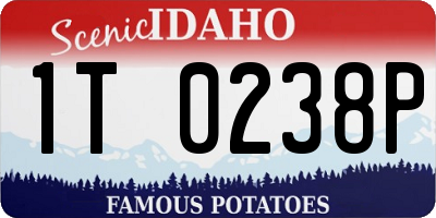 ID license plate 1T0238P