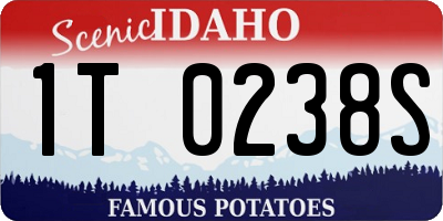 ID license plate 1T0238S