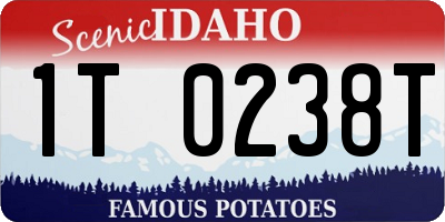 ID license plate 1T0238T