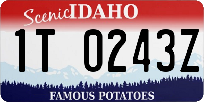 ID license plate 1T0243Z