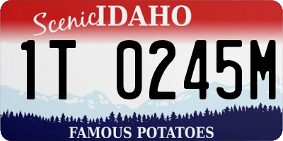 ID license plate 1T0245M
