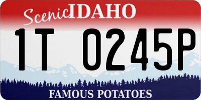 ID license plate 1T0245P