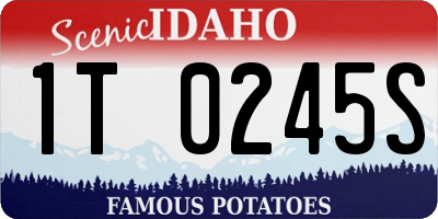 ID license plate 1T0245S
