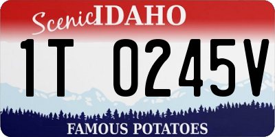 ID license plate 1T0245V