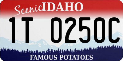 ID license plate 1T0250C