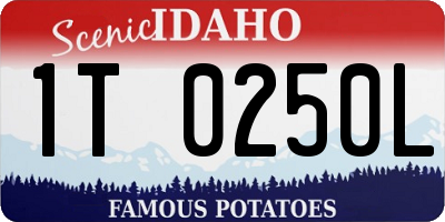 ID license plate 1T0250L