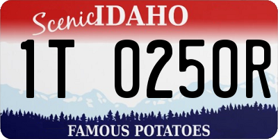 ID license plate 1T0250R