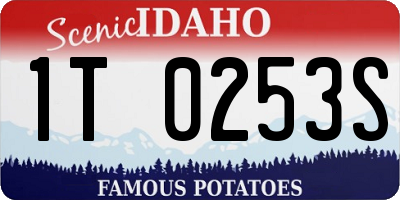 ID license plate 1T0253S