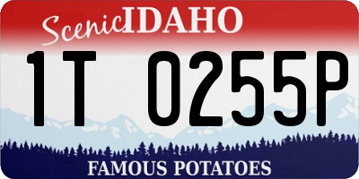 ID license plate 1T0255P